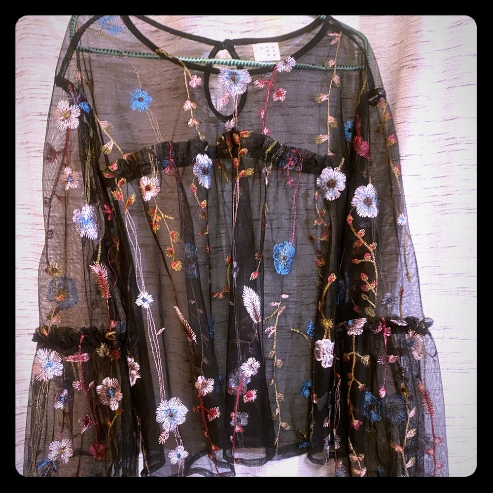 Sheer beautiful bell sleeved top!